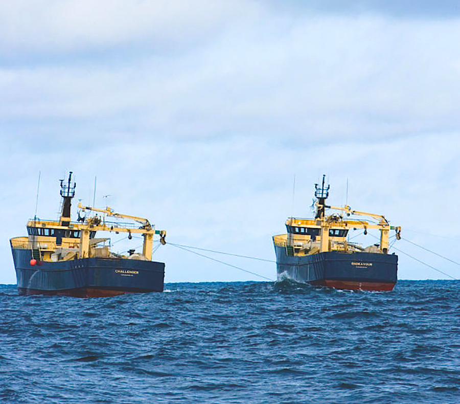 midwater trawling