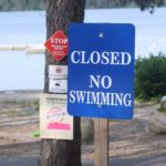 Signs at Gull Pond indicate the water is not safe.