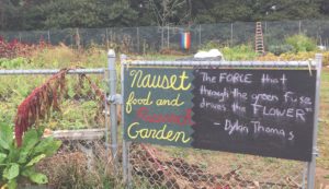 Food and Research Garden at Nauset H.S.