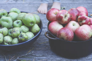 Apples, Applesauce Recipe