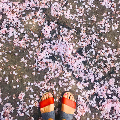 Press Pause: Developing Awareness with Yoga