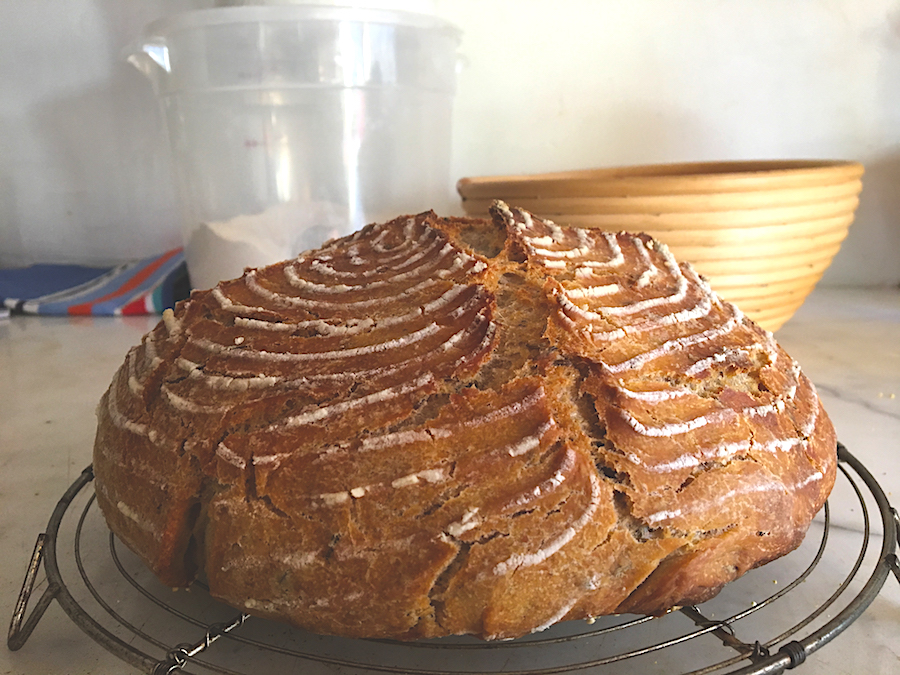How I Recreated the Rye Bread of My Childhood - The Provincetown Independent