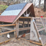 A-frame chicken coop