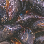 local mussels