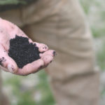 biochar amended soil