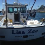 The Lisa Zee