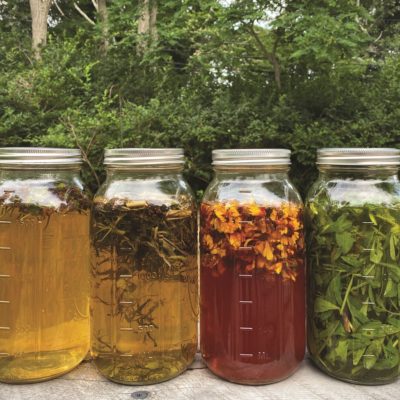Plant Matter to Dye For