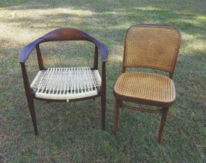 Wegman and Thonet chairs