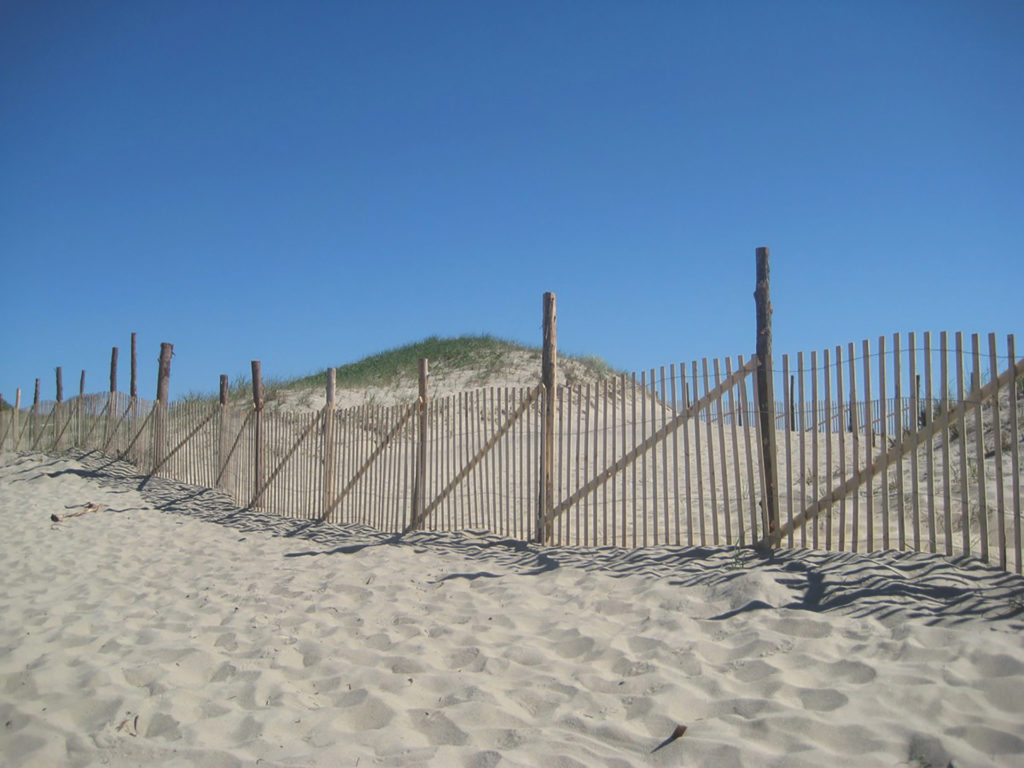 Sand fencing