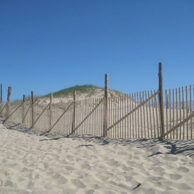 Fences for ‘Where There Are No Cows’
