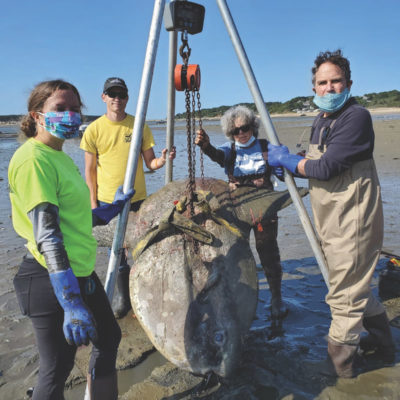 A Network of Local Friends of a Funny Looking Fish