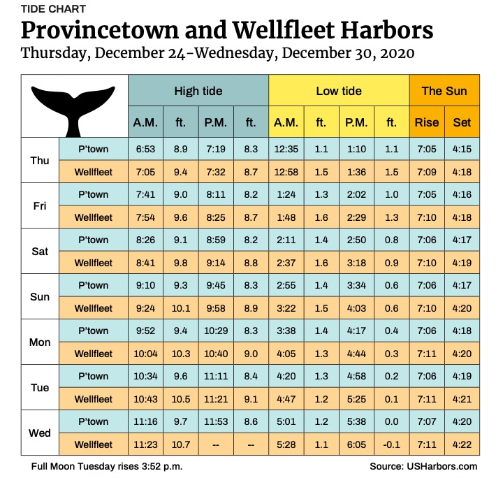 Provincetown and Wellfleet Harbors The Provincetown Independent