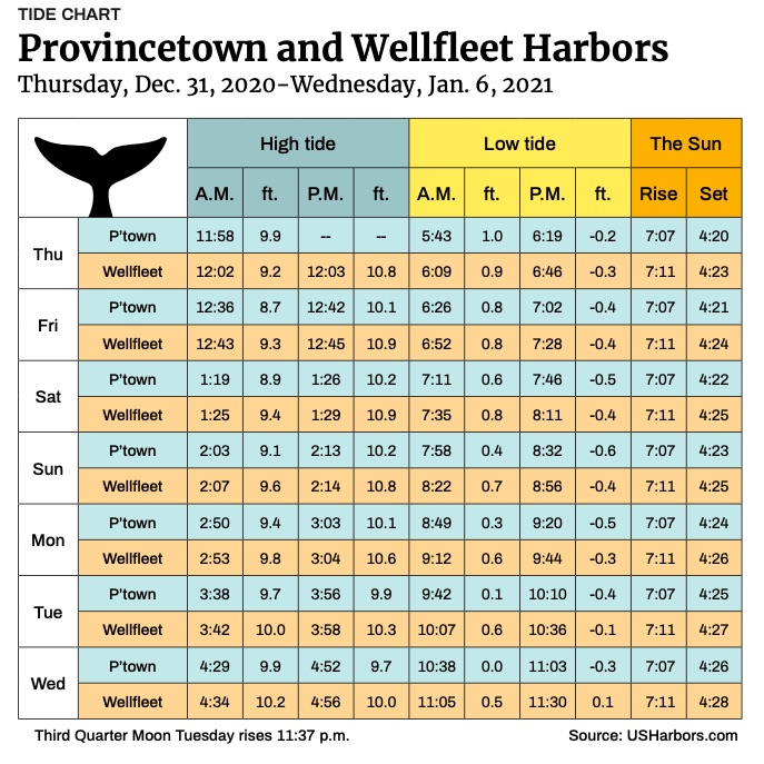 Provincetown and Wellfleet Harbors The Provincetown Independent