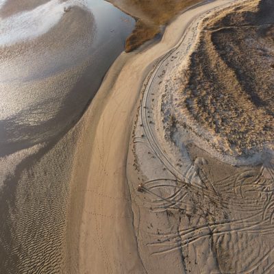 Responding to Stranded Mammals
