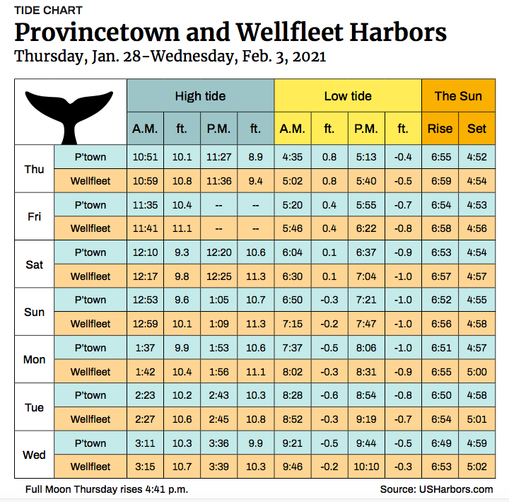 Provincetown and Wellfleet Harbors The Provincetown Independent