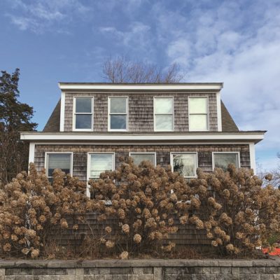 Hydrangeas Offer More Than Summer Romance