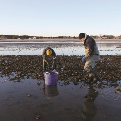 Study Finds Nutrients Increase Coastal Acidification