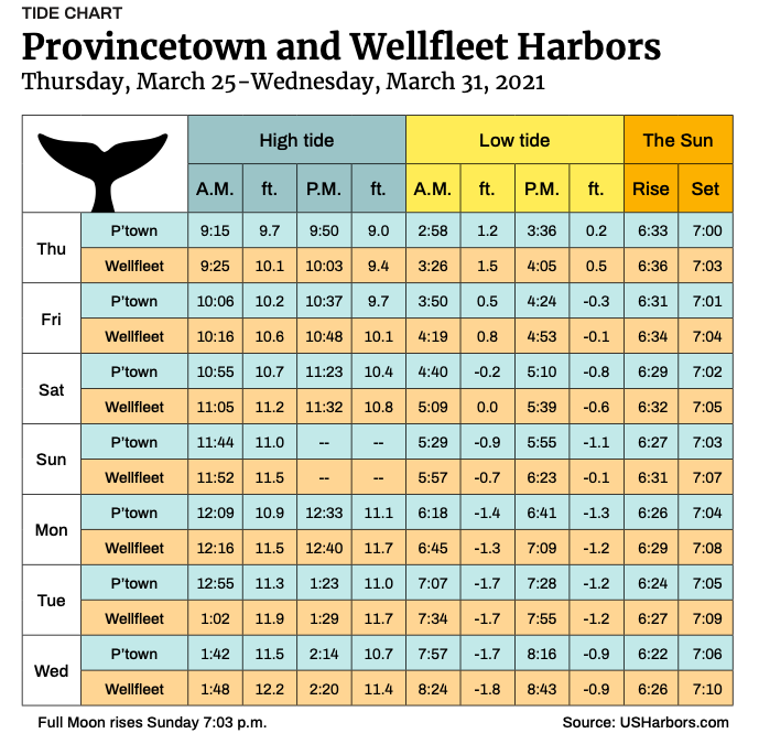 Provincetown and Wellfleet Harbors The Provincetown Independent