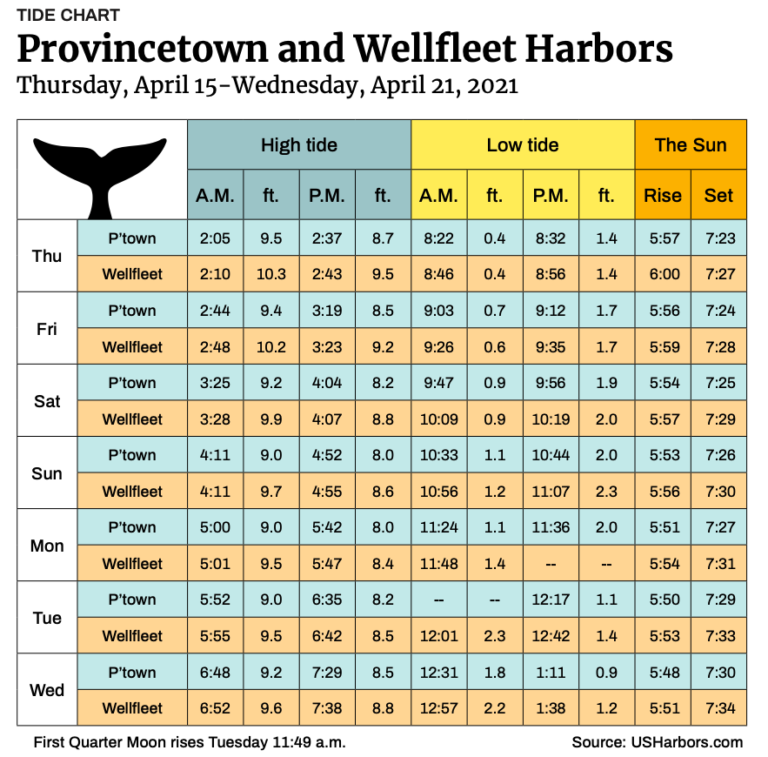 Provincetown and Wellfleet Harbors The Provincetown Independent