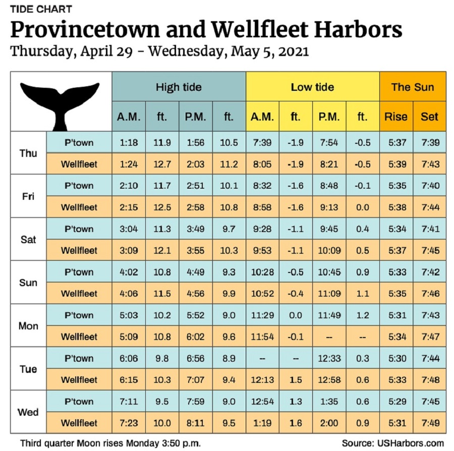 Provincetown and Wellfleet Harbors The Provincetown Independent