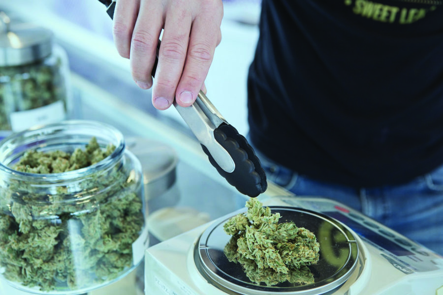 Dispensary Owners Now Seek To Build Grow Facility In Truro - The ...