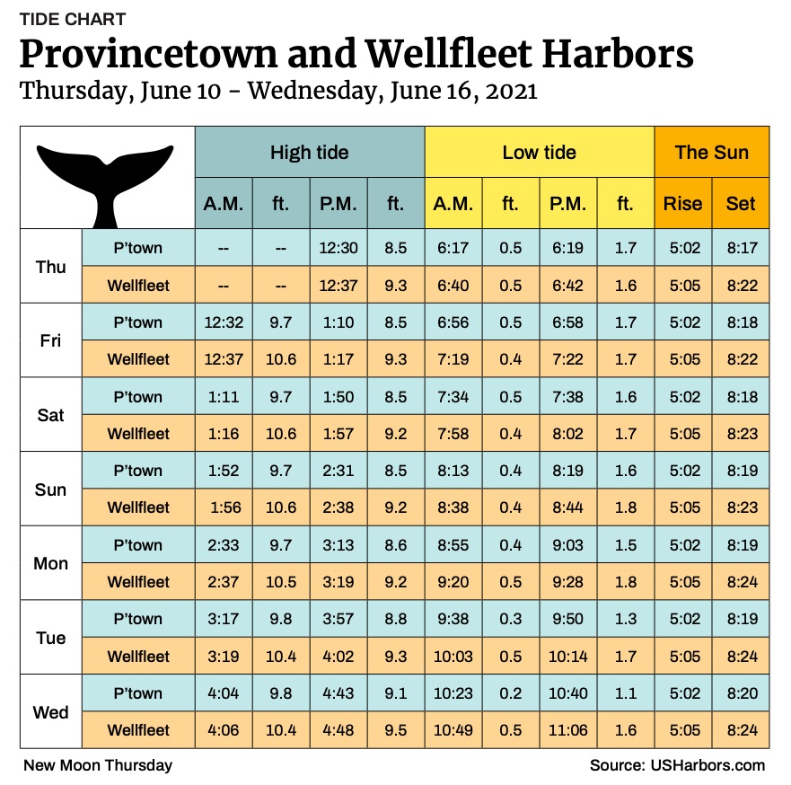 Provincetown and Wellfleet Harbors The Provincetown Independent