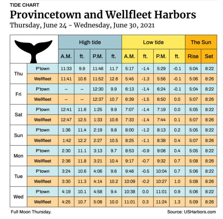 Provincetown and Wellfleet Harbors The Provincetown Independent