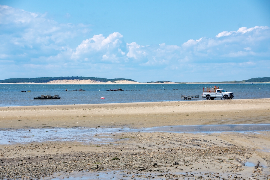 2 Years Later Planning Starts on Those Indian Neck Tidal Flats