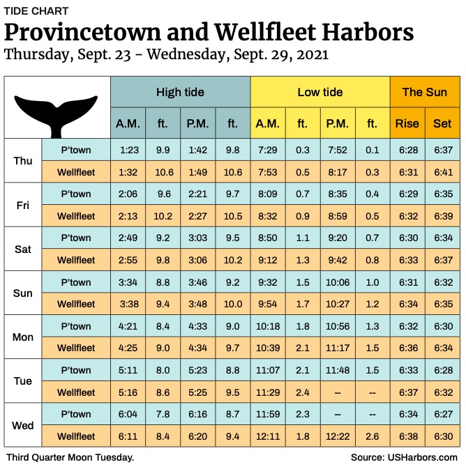 Provincetown and Wellfleet Harbors The Provincetown Independent