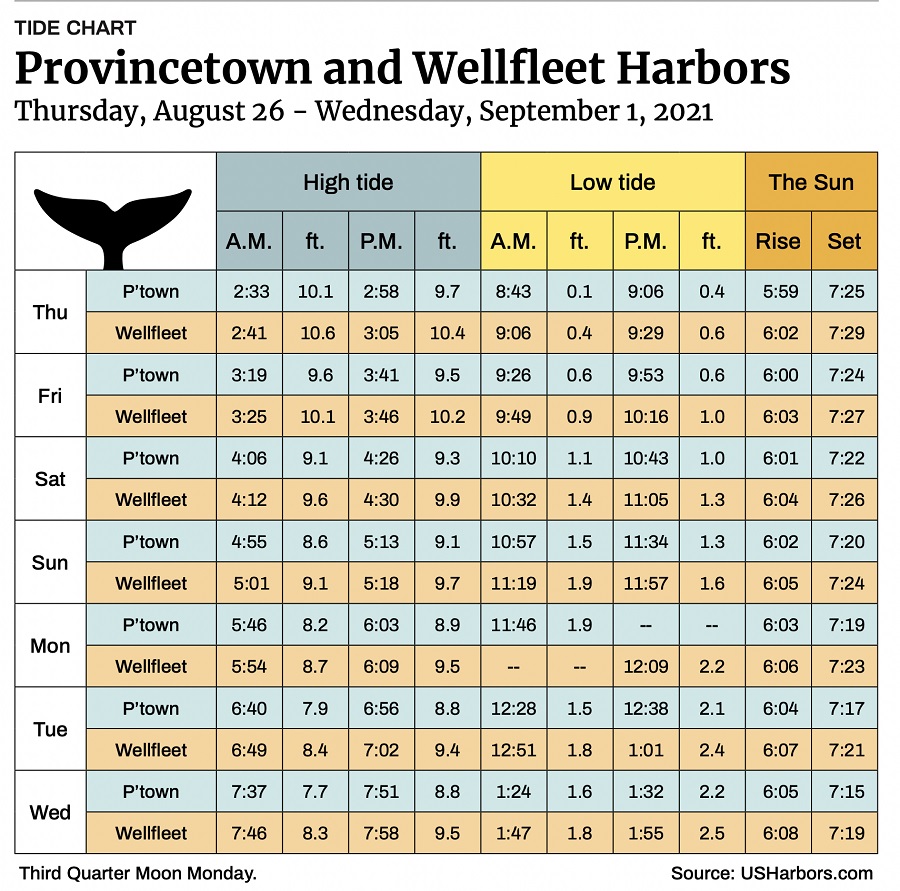 Provincetown and Wellfleet Harbors The Provincetown Independent