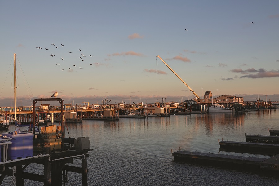 Provincetown Public Pier Corp. Archives The Provincetown Independent