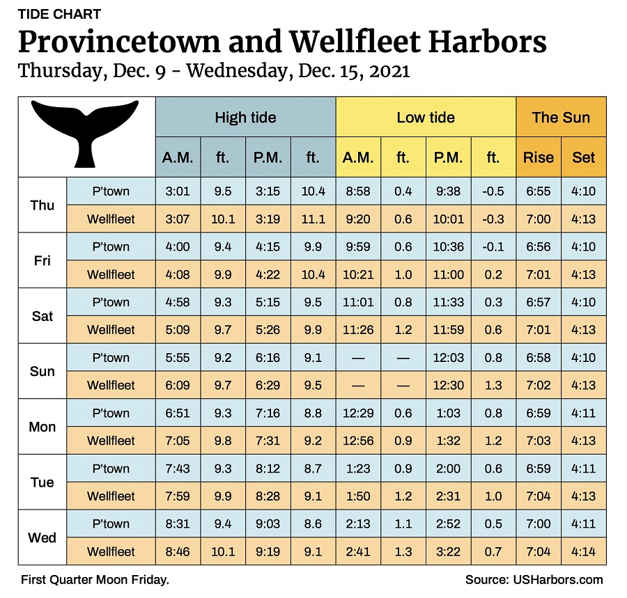 Provincetown and Wellfleet Harbors The Provincetown Independent