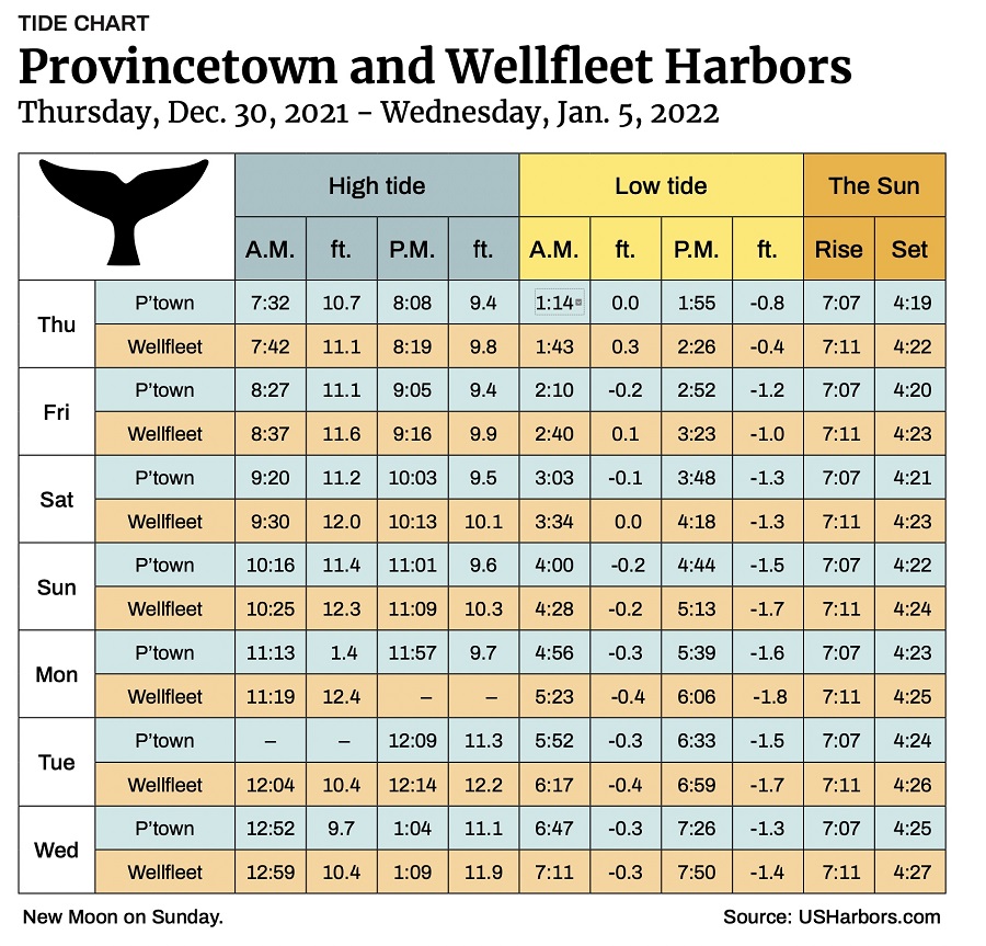 Provincetown and Wellfleet Harbors The Provincetown Independent