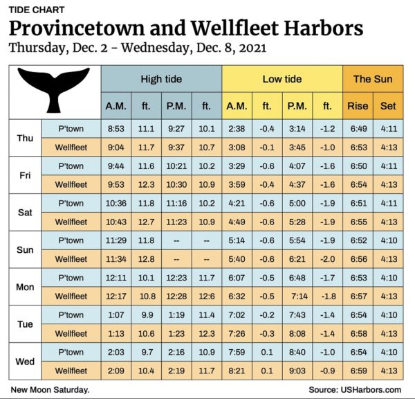 Provincetown and Wellfleet Harbors The Provincetown Independent