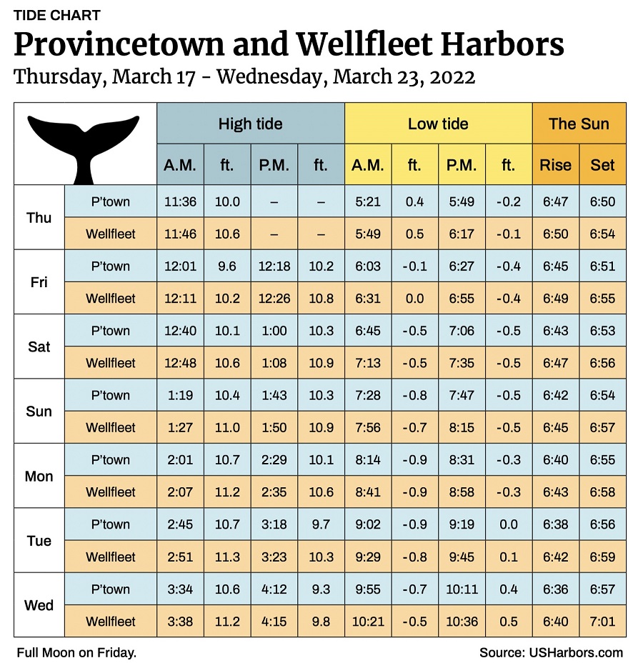 Provincetown and Wellfleet Harbors The Provincetown Independent