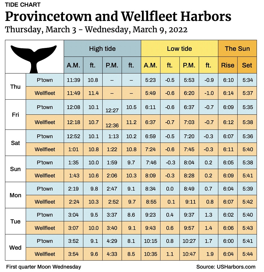 Provincetown and Wellfleet Harbors The Provincetown Independent