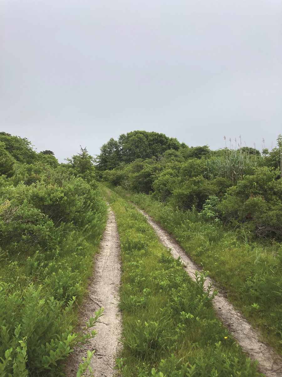Should I stretch before or after a long hike? — Beech Street Health Centre