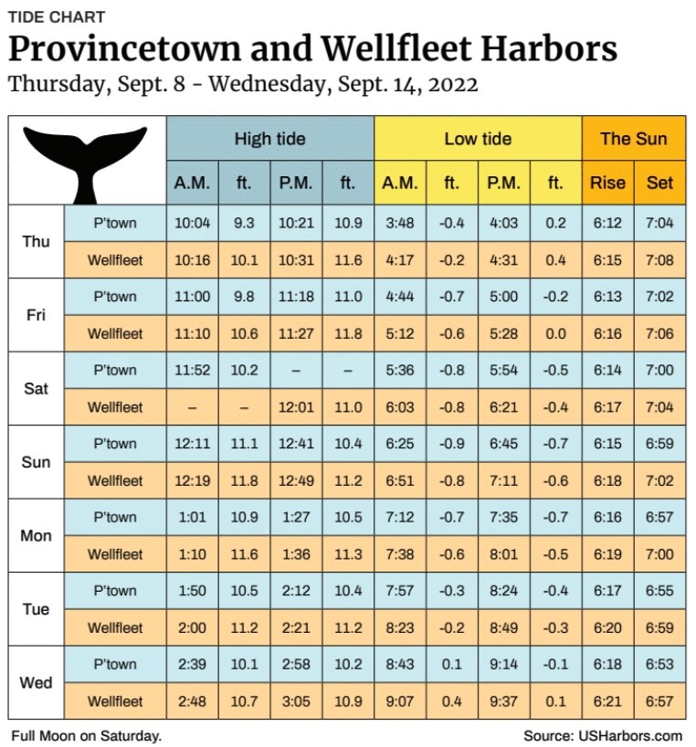 Provincetown and Wellfleet Harbors - The Provincetown Independent