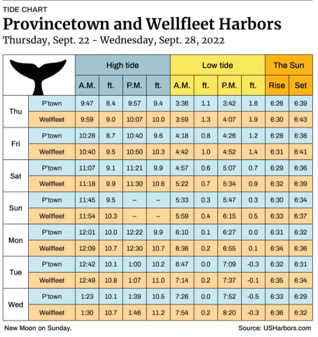 Provincetown and Wellfleet Harbors - The Provincetown Independent