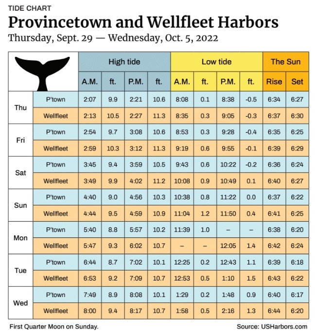 Provincetown and Wellfleet Harbors The Provincetown Independent