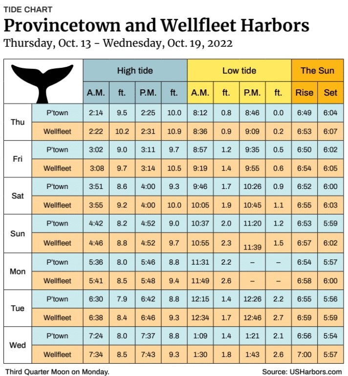 Provincetown and Wellfleet Harbors The Provincetown Independent