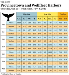 Provincetown and Wellfleet Harbors - The Provincetown Independent