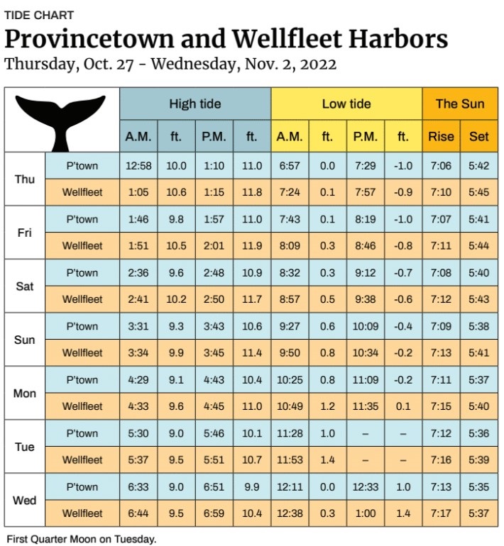 Provincetown and Wellfleet Harbors The Provincetown Independent