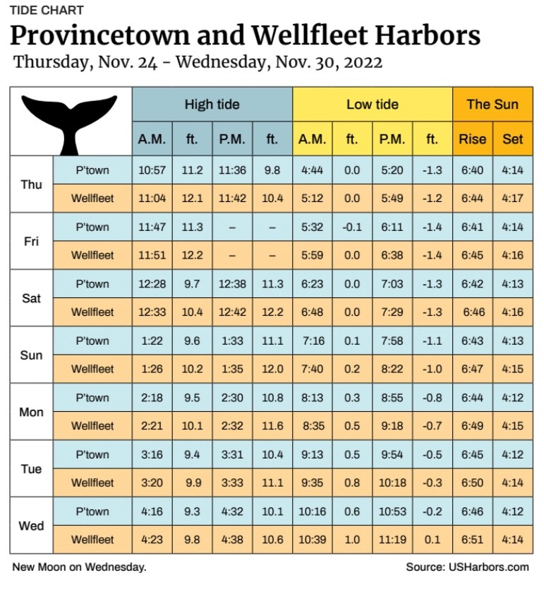 Provincetown and Wellfleet Harbors The Provincetown Independent