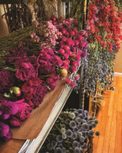 Dried Flowers — Artemis Flower Farm