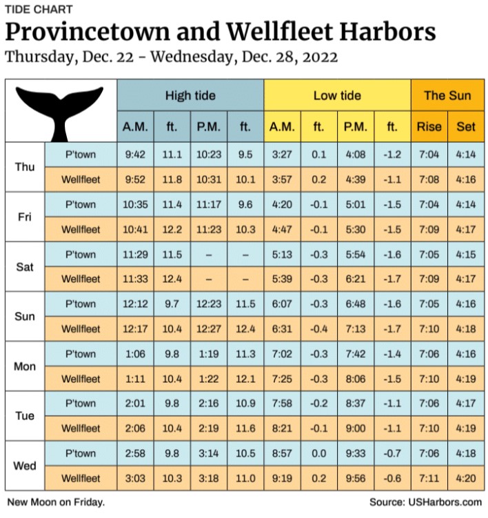 Provincetown and Wellfleet Harbors The Provincetown Independent