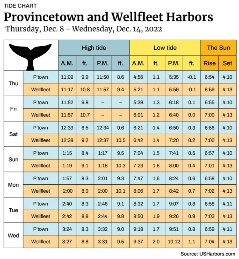 provincetown-and-wellfleet-harbors-the-provincetown-independent