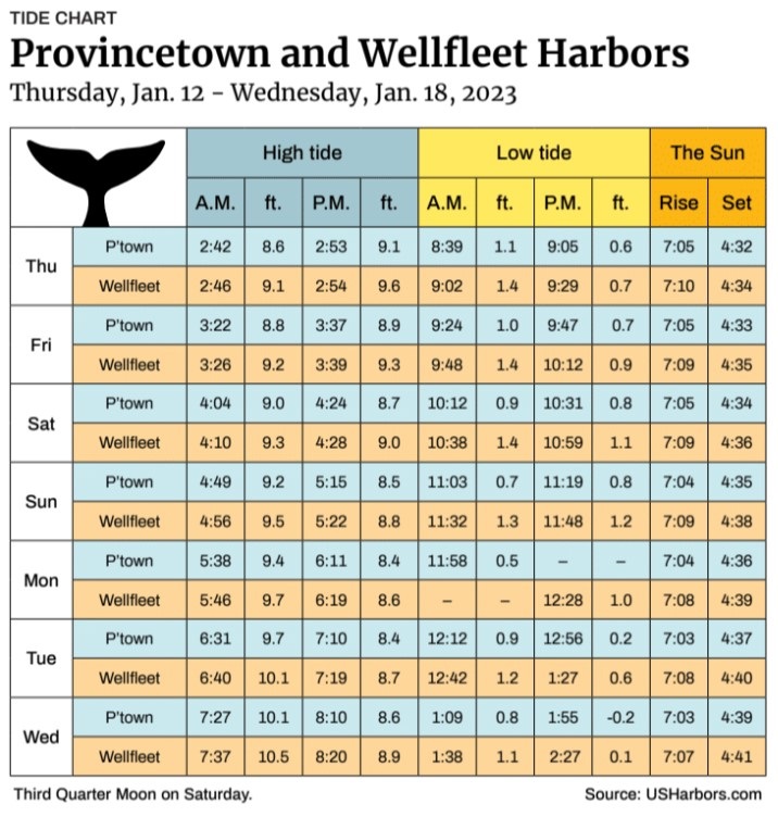 Provincetown and Wellfleet Harbors - The Provincetown Independent