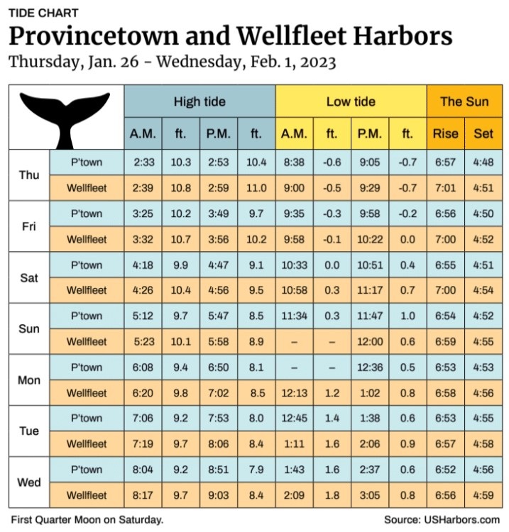 Provincetown and Wellfleet Harbors The Provincetown Independent