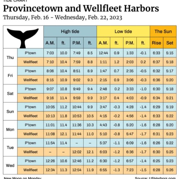 Wellfleet Archives The Provincetown Independent